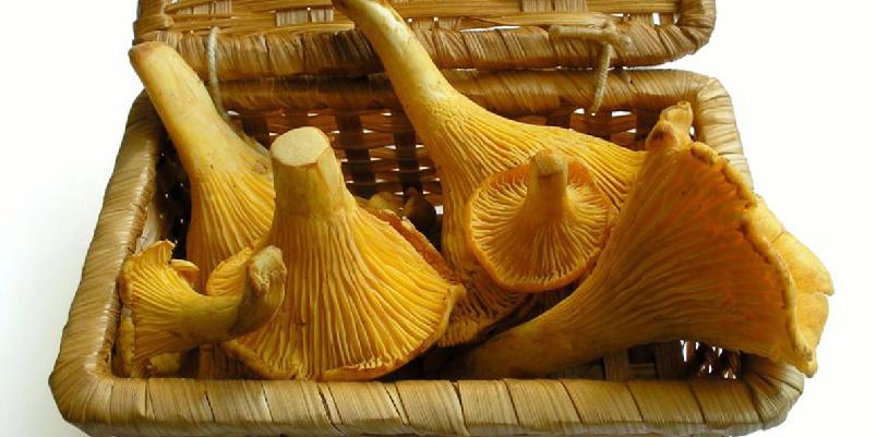 Foto: istockphoto