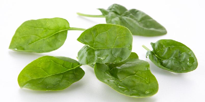 Foto: Frukt.no