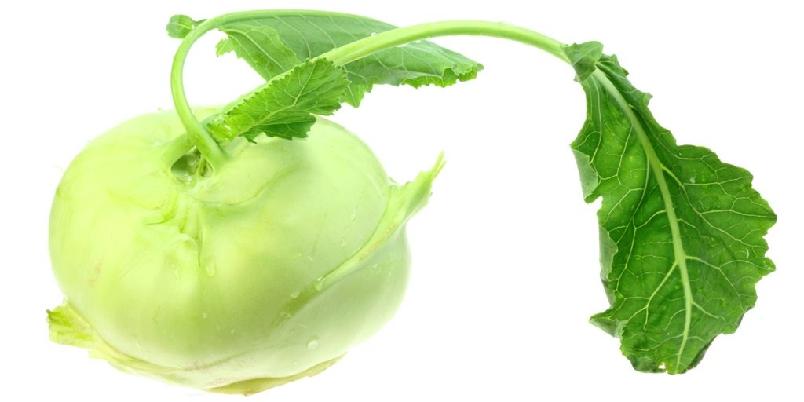 Foto: Istockphoto