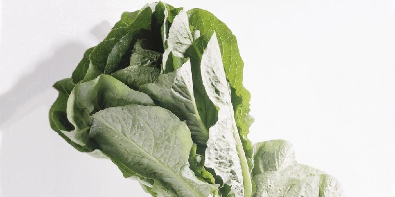Foto: Frukt.no