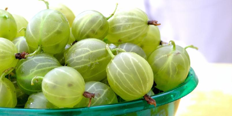 Foto: istock