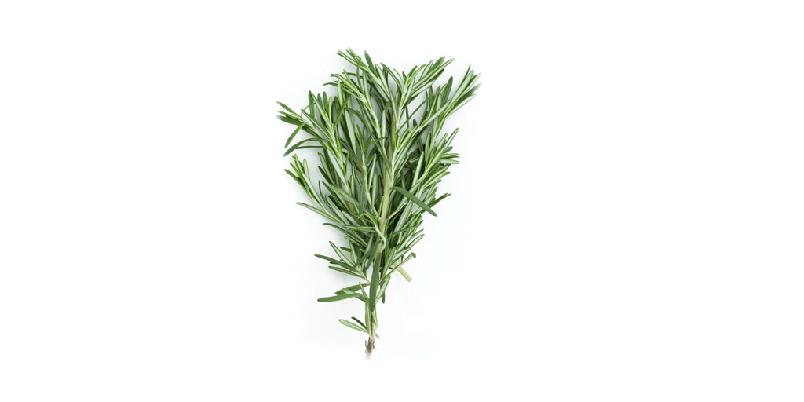 Foto: istockphoto