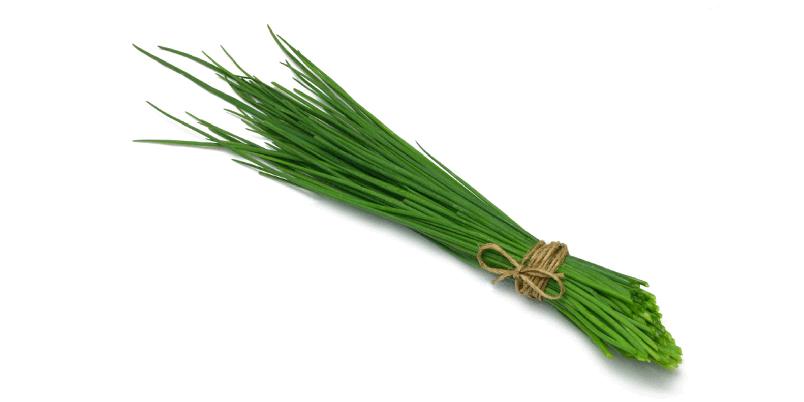 istockphoto