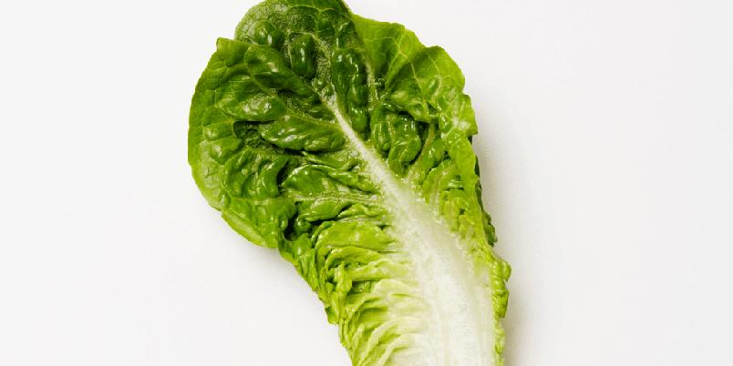 Foto: bama.no