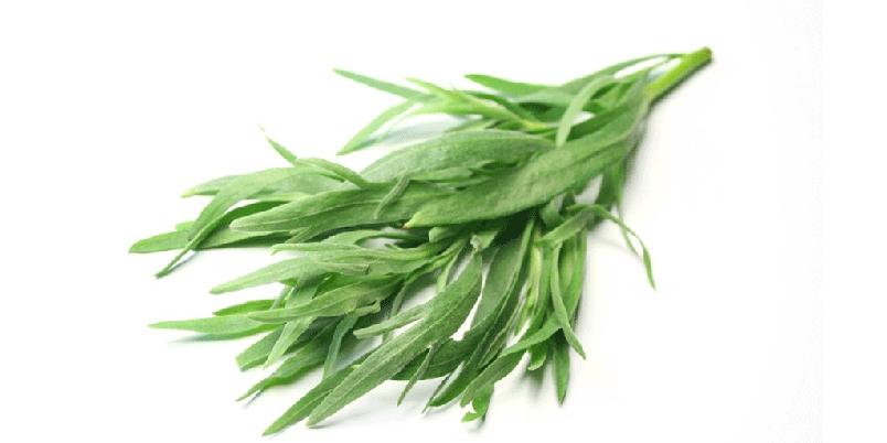 istockphoto