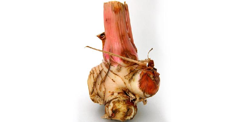 Foto: istockphoto