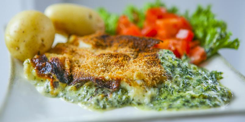 Fisk Florentine